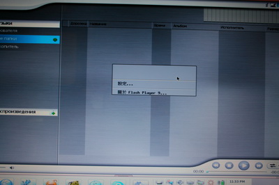 Китайский флэш-плеер?