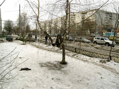 Тула улицы Тулы Тульская администрация Хреновые дороги